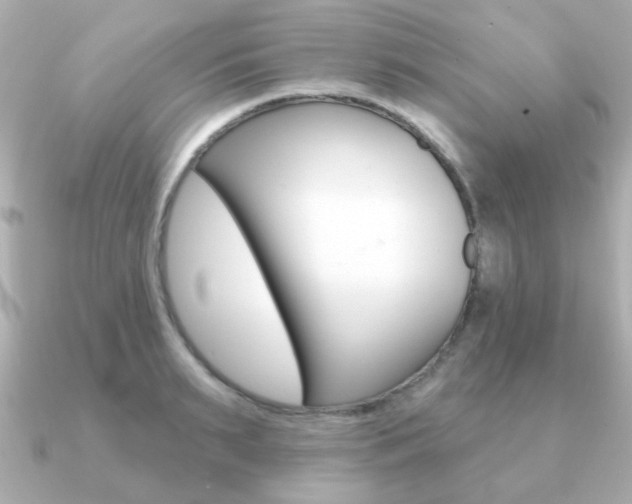 X0000091190895200708091020