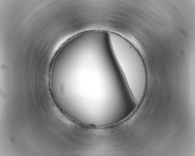 X0000091190896200708091020