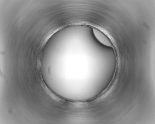 X0000091190897200708091020
