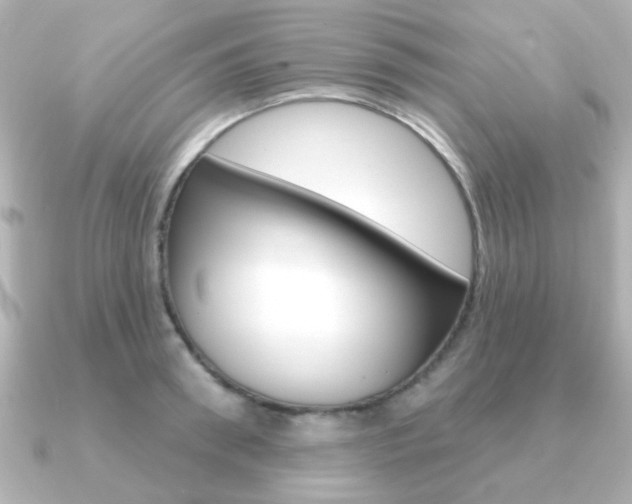 X0000091190898200708091020