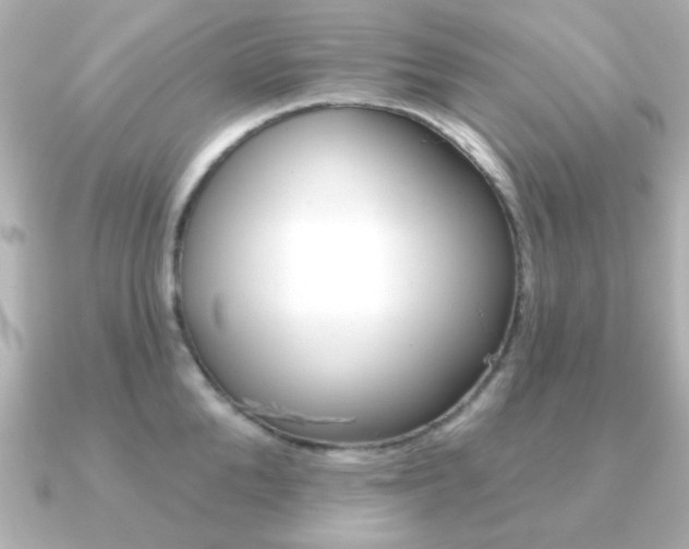 X0000091190904200708091020
