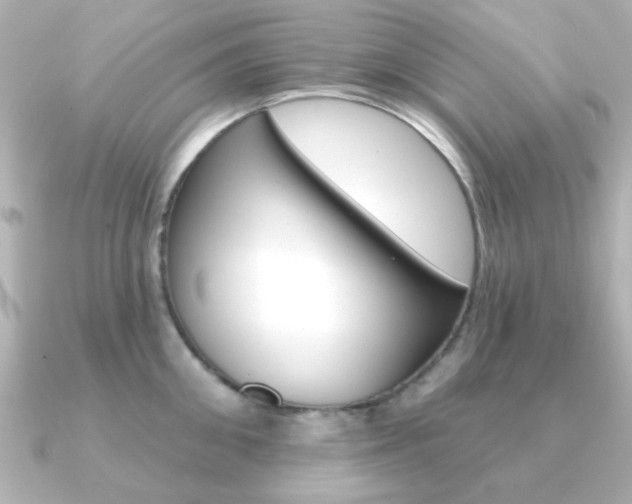 X0000091190906200708091020