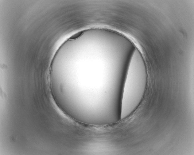 X0000091190911200708091020