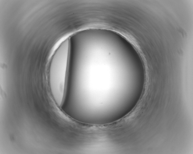 X0000091190912200708091020