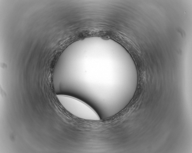 X0000091190914200708091019