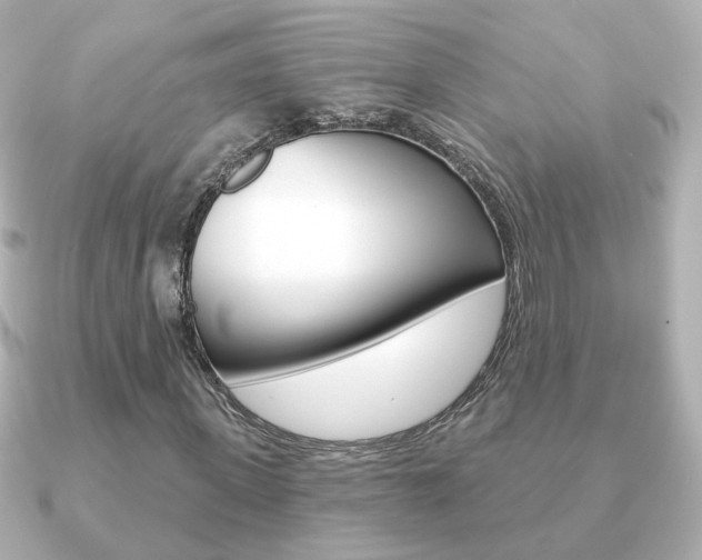 X0000091190915200708091019