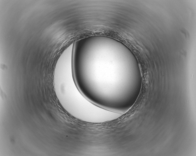 X0000091190916200708091019