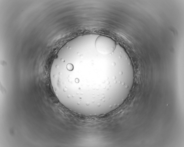 X0000091190917200708091019