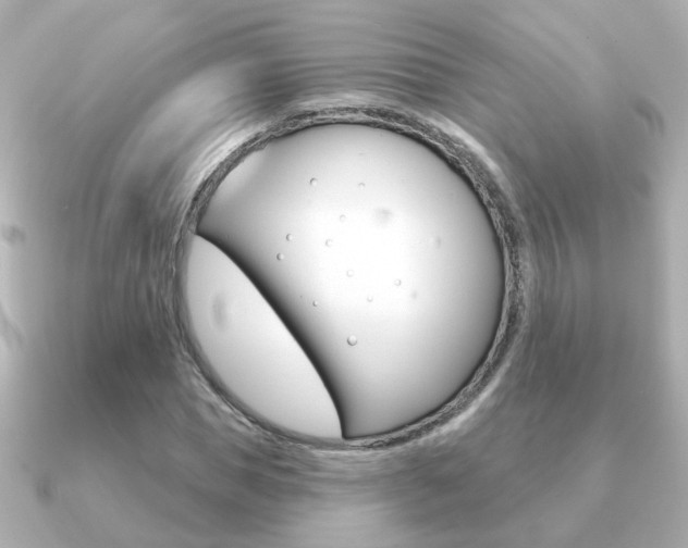 X0000091190921200708091019