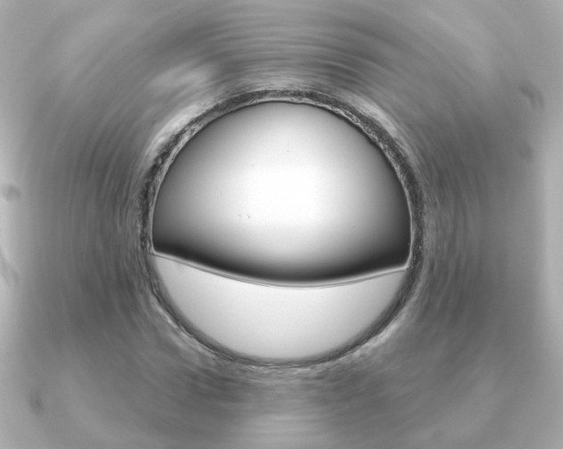 X0000091190922200708091019