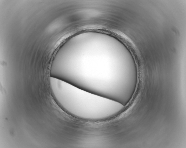 X0000091190929200708091020