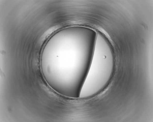 X0000091190930200708091020