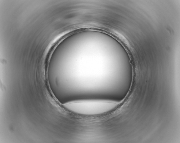 X0000091190931200708091020