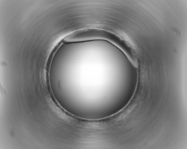 X0000091190932200708091020