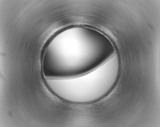 X0000091190934200708091020