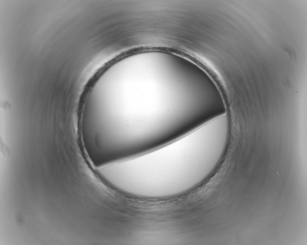 X0000091190935200708091020