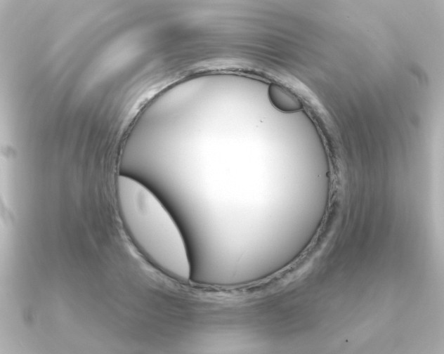 X0000091190937200708091020