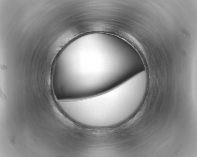 X0000091190938200708091020