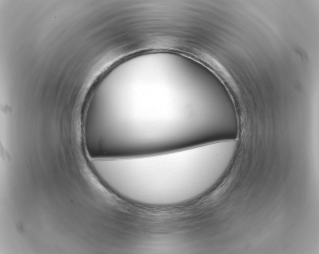 X0000091190939200708091020