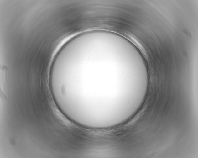 X0000091190940200708091020