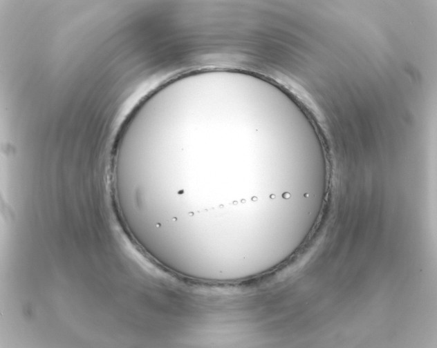 X0000091190941200708091020