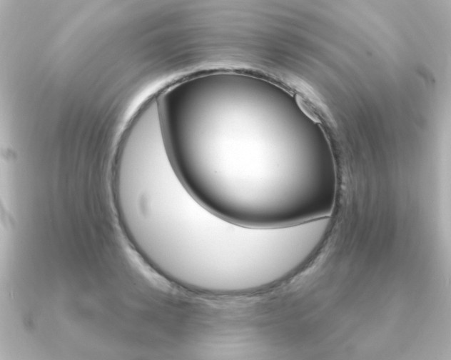 X0000091190942200708091020