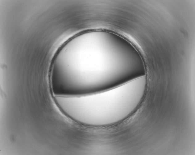 X0000091190943200708091020