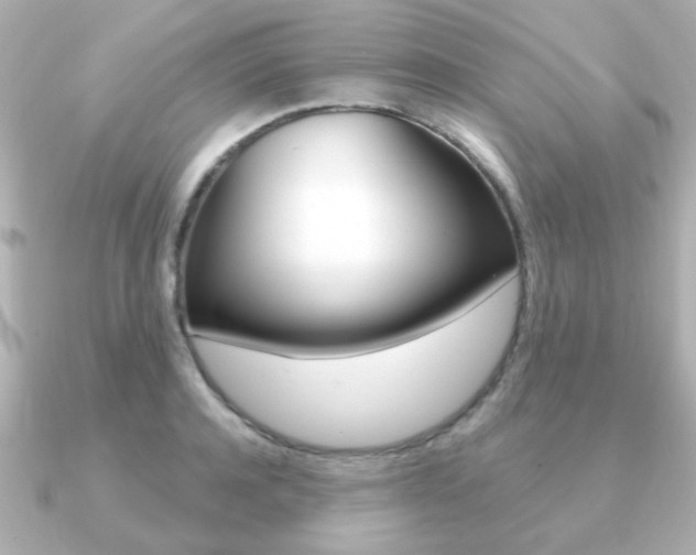 X0000091190944200708091020