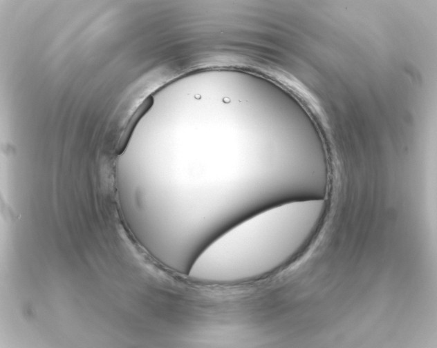 X0000091190945200708091020