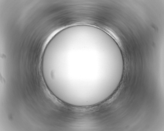 X0000091190948200708091020