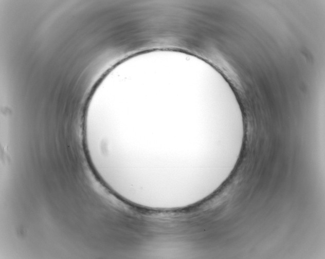 X0000091190950200708091020