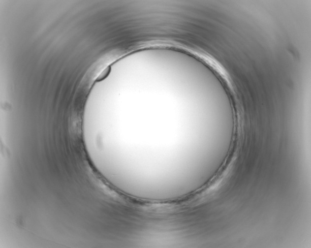 X0000091190953200708091020