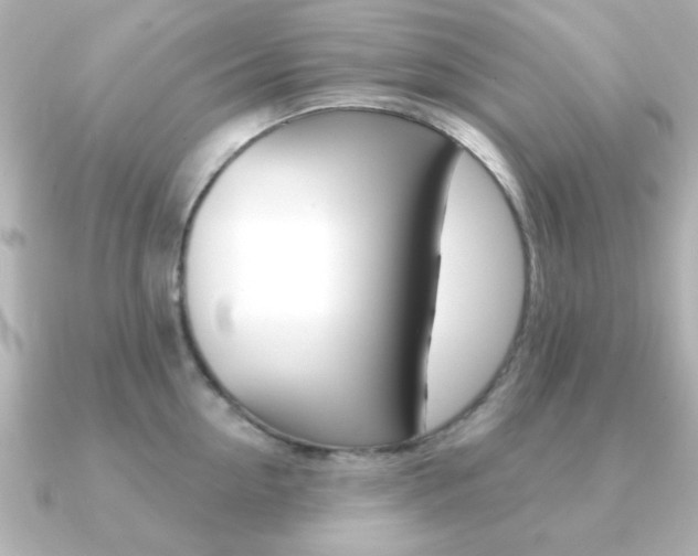 X0000091190954200708091020