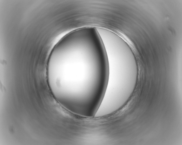 X0000091190956200708091020