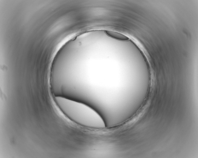 X0000091190957200708091020