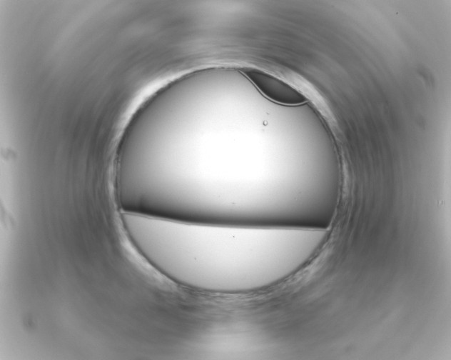 X0000091190958200708091020