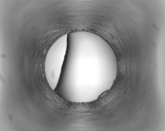 X0000091190962200708091019
