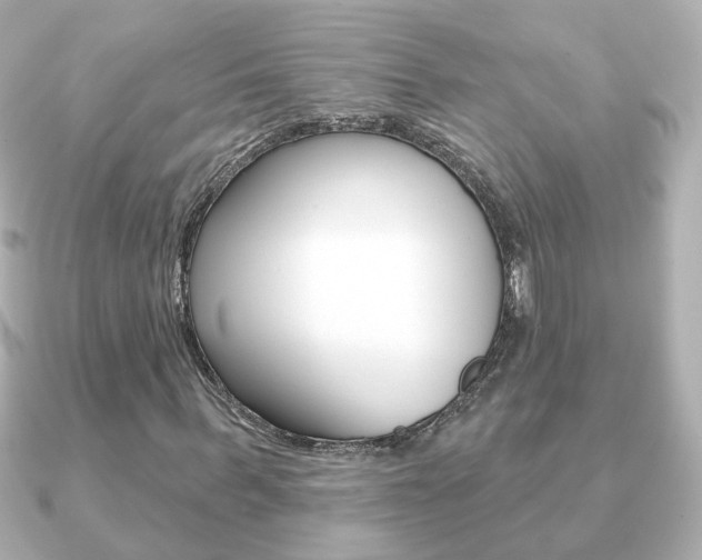 X0000091190963200708091019