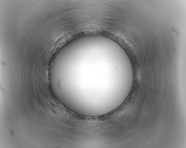 X0000091190964200708091019