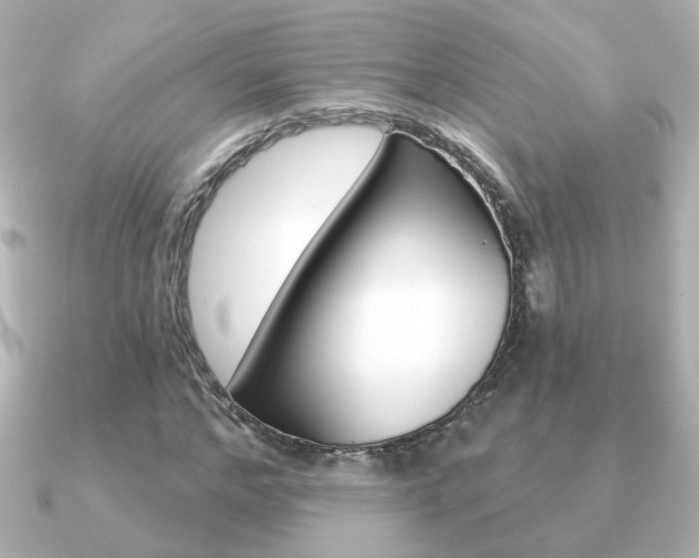 X0000091190968200708091019