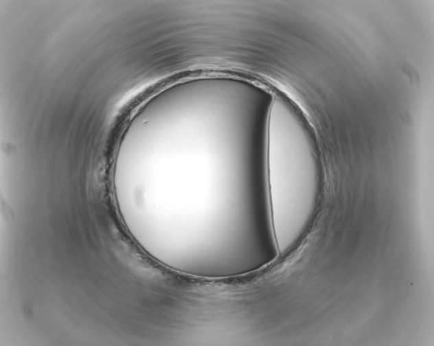 X0000091190971200708091019