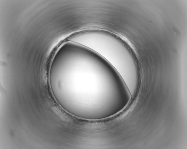 X0000091190973200708091019