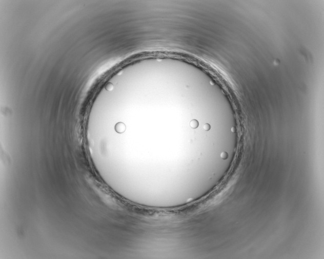 X0000091190974200708091019
