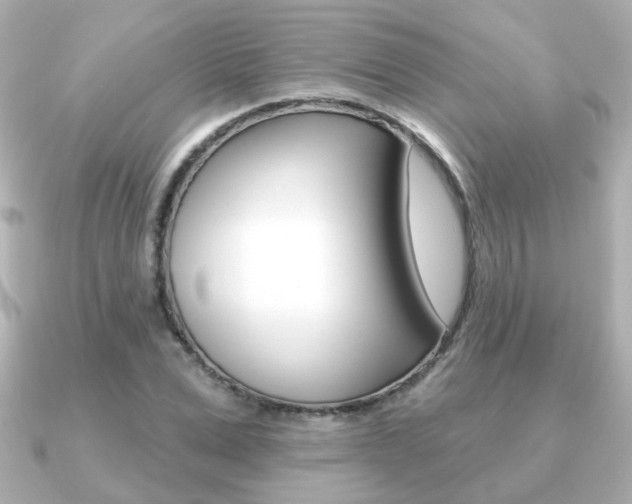 X0000091190975200708091019