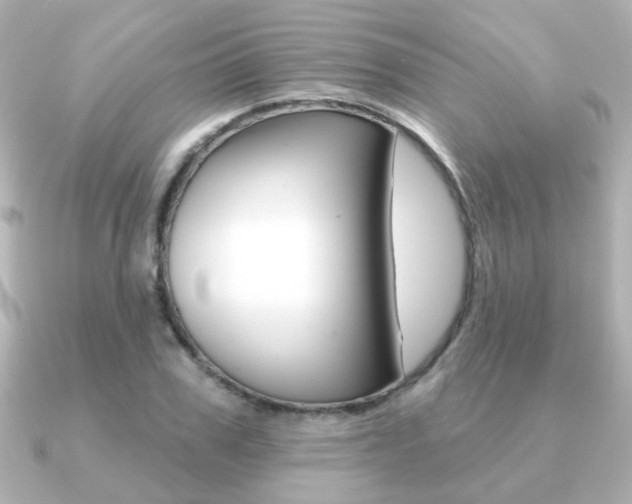 X0000091190979200708091019