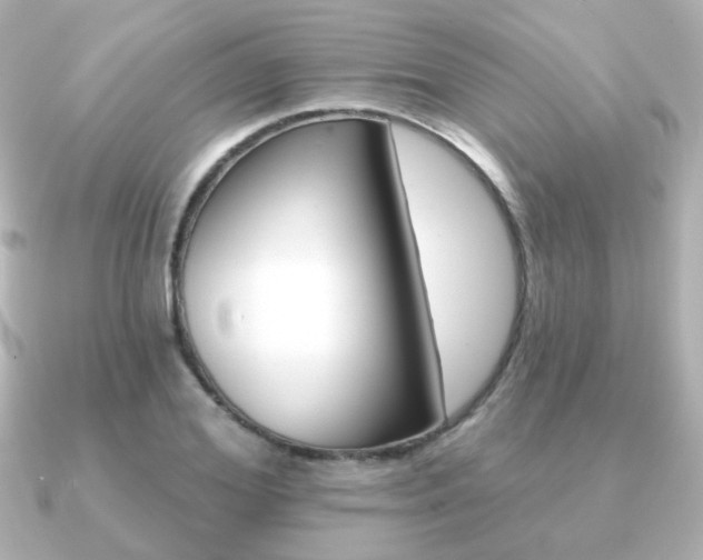 X0000091190980200708091019