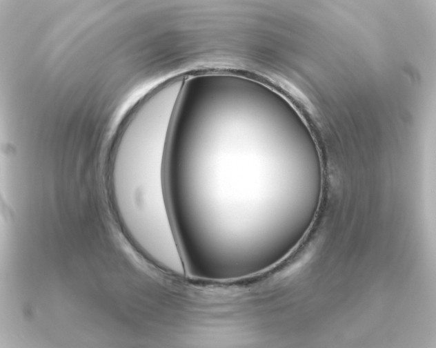 X0000091190981200708091019