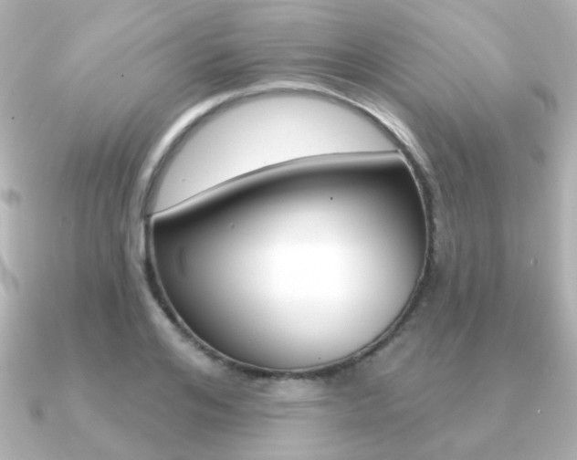 X0000091190984200708091019