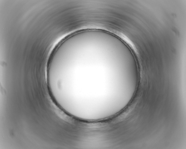 X0000091190988200708091019