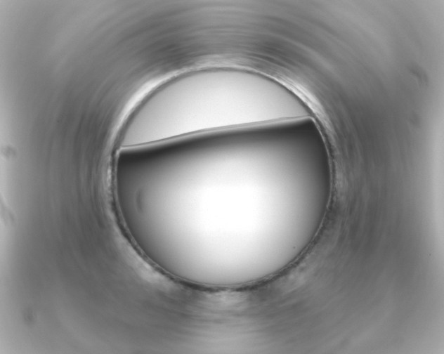 X0000091190992200708091019